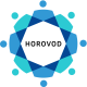 Horovod Training in Nigeria
