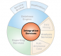 SSIS Training in Nigeria