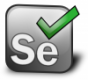 Web Application Testing